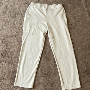 Women’s size 10 Maison D’Amelie Tan Dress Pants